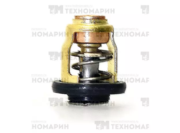 Термостат Yamaha 6E5-12411-30