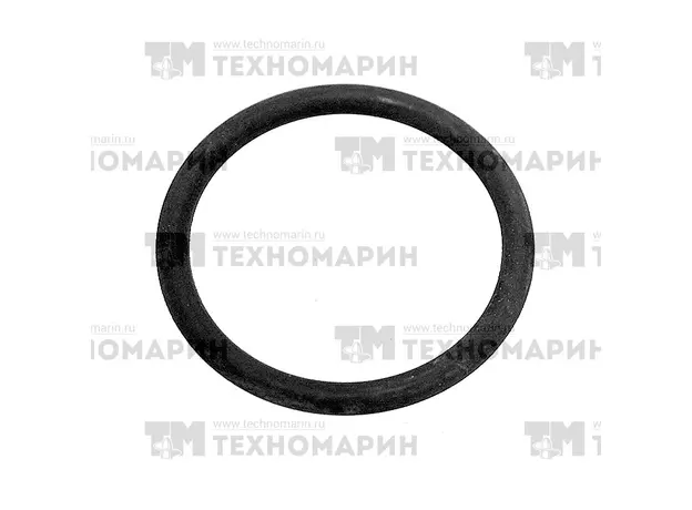 Уплотнительное кольцо крышки головки цилиндров РМЗ-551 (внутреннее) RM-017618